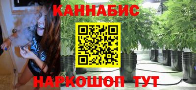 Альфа ПВП Будённовск