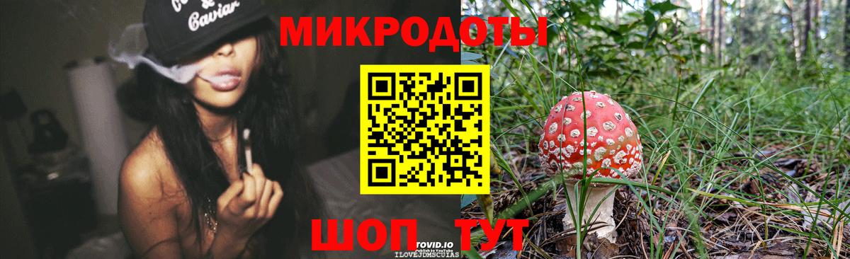 Галлюциногенные грибы GOLDEN TEACHER  купить  цена  Новошахтинск  Вход с VPN 